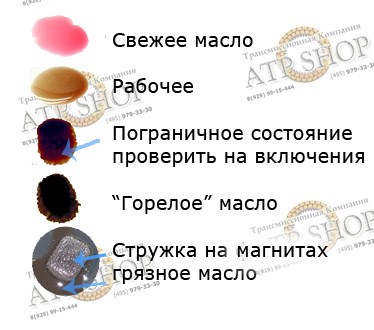 Пользователь офлайн