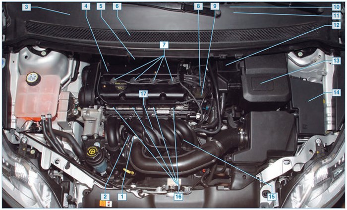 Ремонт Ford Focus II-89.jpg