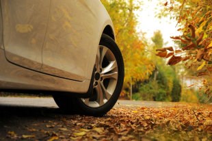 Фото: Istock